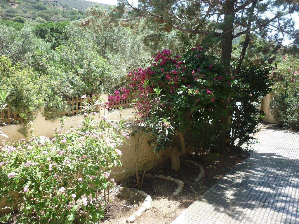 Villa Bonu Torre delle Stelle Exterior foto